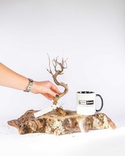 Tanuki Bonsai Driftwood Fish Tank Vivarium Decoration Real Wood Untreated