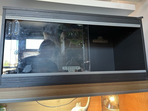 Vivexotic glass front - vivexotic, reptile
