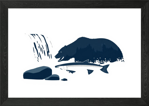 Grizzly bear catching salmon - bear,