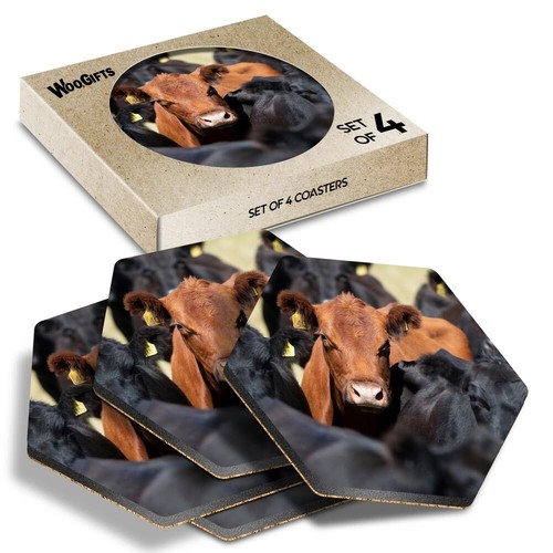 Hexagon mdf coaster aberdeen - hexagon,