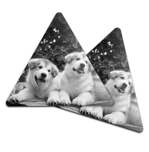 Triangle coaster bw - triangle,