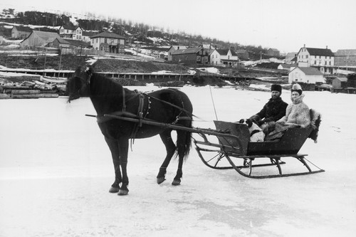 Horse drawn sleigh gore bay - in,