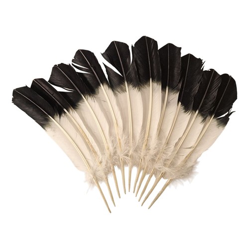 Turkey feather inch - 10-12,