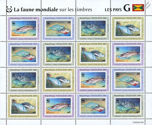Animals fauna grenada - animals,