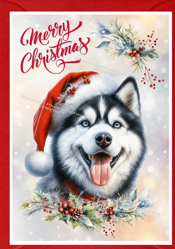 Siberian husky dog christmas - husky,