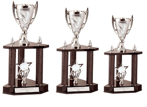 Dallas multi sport - sport, tier