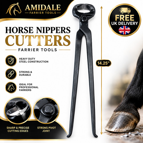 Amidale horse hoof nippers - horse,