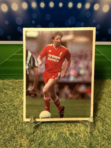 Daily mirror 1986 sticker - daily,
