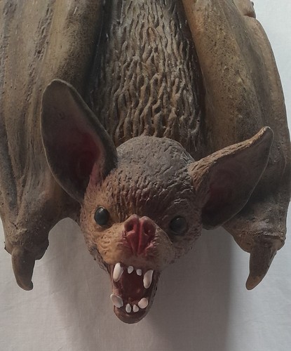 Vampire bat halloween - vampire,