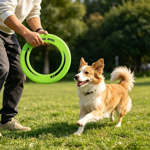 Durable lightweight flying - durable,
