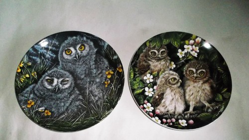 Wedgwood the baby owls - x,