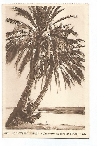 North africa scenes - north, types