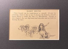 Basset Hound "Family" -Custom