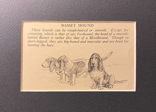 Basset hound family custom - hound, "family"