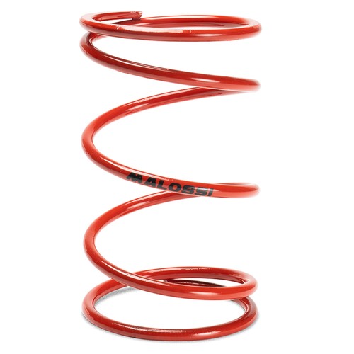 Malossi red variator spring
