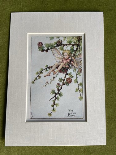 Larch flower fairy - ‘larch’,