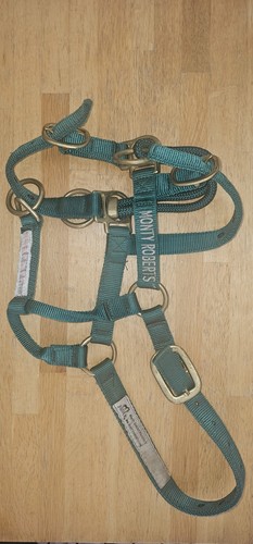 Monty roberts dually - dually, training