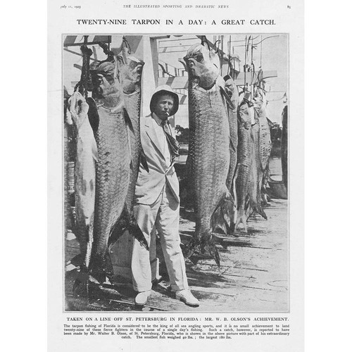 Florida olson s catch - florida, w.b.