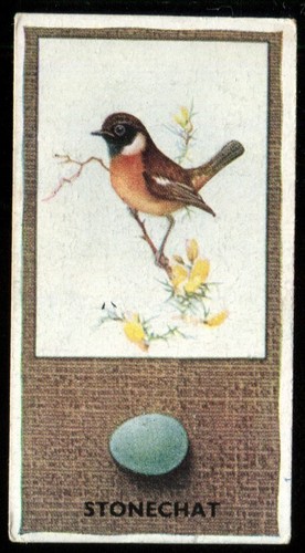 Tobacco card godfrey phillips - tobacco,