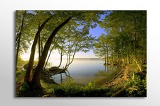 LARGE CANVAS WALL ART PEACEFUL CALM GREEN FOREST LAKE BEAUTIFUL NEW PRINT A0 A1