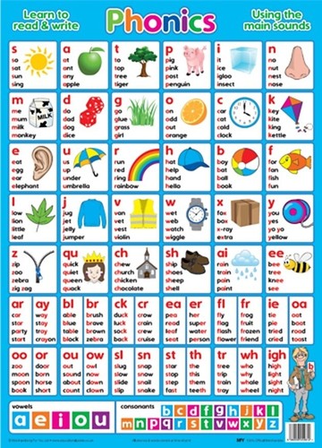 Educational poster laminated - educational,