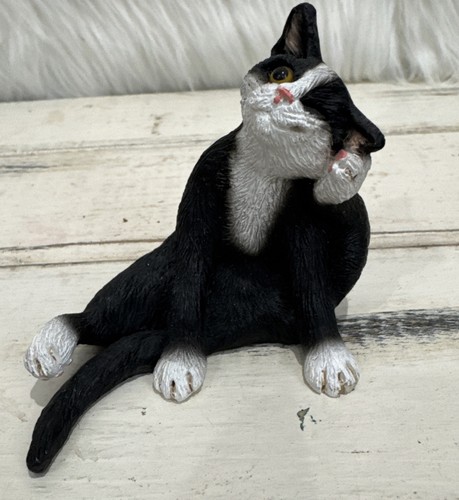 Black white tuxedo cat - &,