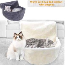 Cat Kitten Hanging Radiator