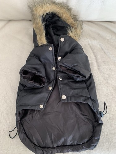 Black padded dog - padded,