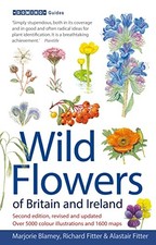 Wild Flowers of Britain and