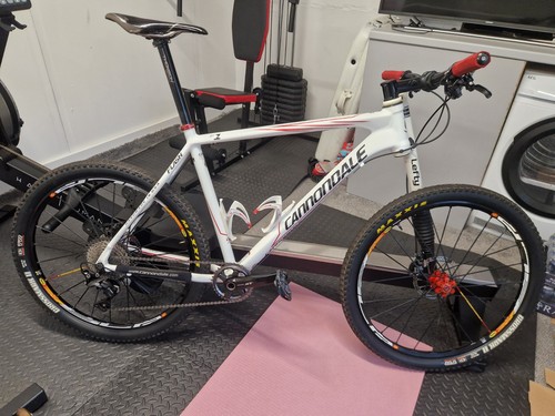 Cannondale lefty flash - flash, f1