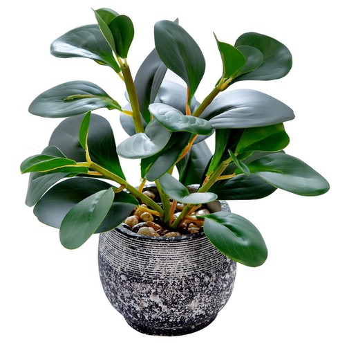 Artificial plants potted real - artificial,