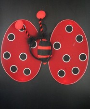 Red Black Ladybird Wings Fancy Dress Costume Bug Set Dressing Up Party Hen Night