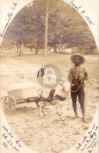 1905 african american - african, with