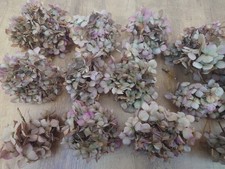 Dried Hydrangea Qty8-10 in box