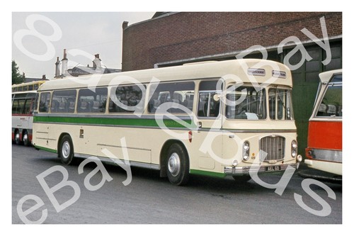 Bus photograph hants dorset - photograph, &