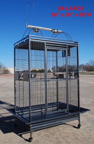 X28 x68 large parrot - xx-large,