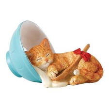 Country Artists Kitten Tales