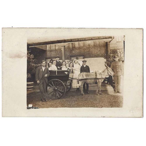 Social history donkey - social,