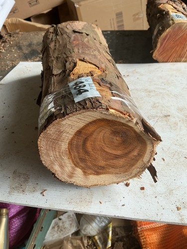 Yew wood length - yew, length,yew,yew