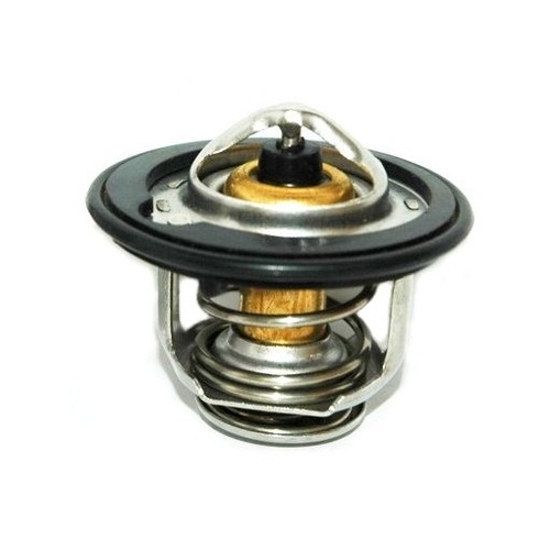 Thermostat mte076q 19301pdf305 - thermostat,