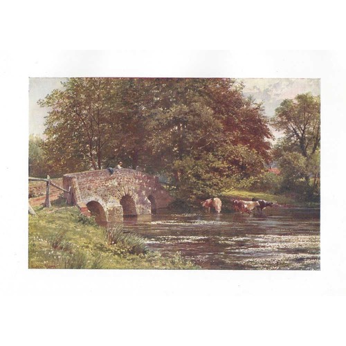 Elstead surrey somerset - elstead,