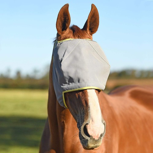 Equilibrium products horse - equilibrium,
