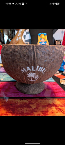 Malibu decorative coconut - malibu,
