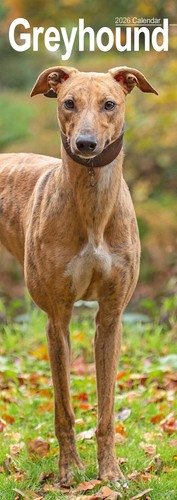 Greyhound slim 2026 calendar - 2026,