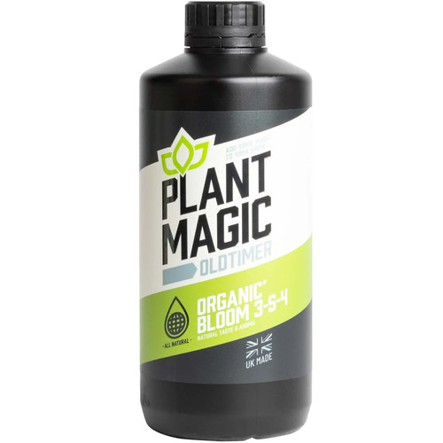 Plant magic old timer - plant,