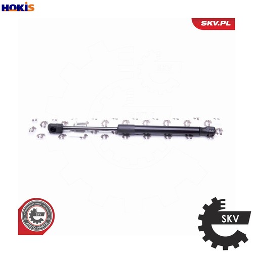 Gas spring bootcargo area - gas,