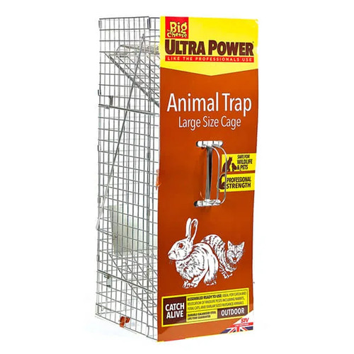 The big cheese animal - big, trap
