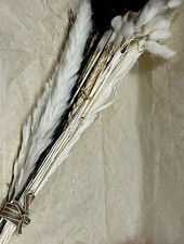 Dried Natural Letterbox Floral Bouquet. Pampas Grass Bundle Flower Arrangement