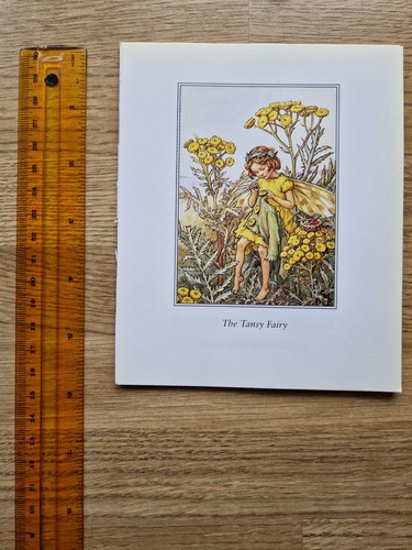 Cicely mary barker the tansy - mary,