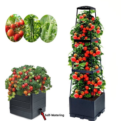 Self watering tier - watering,